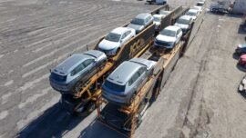 WhatsApp Image 2025-02-04 at 1.09.36 PM